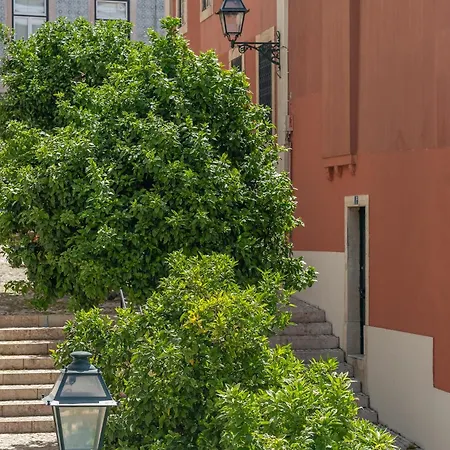 Orange 3 House - Chiado Studios-3